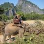 Laos - la compagnie des elephants