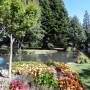 Nouvelle-Zélande - Botannic garden au bord du lac