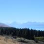 Nouvelle-Zélande - Au loin Mt Cook