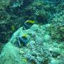 Thaïlande - 
