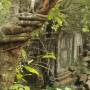 Cambodge - Beng Mealea