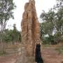 Australie - Van et une termitière cathédrale à Lichtfield National Park