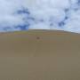 Nouvelle-Zélande - Dunes de Te Paki - Dunas de Te Paki