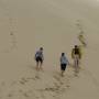 Nouvelle-Zélande - Dunes de Te Paki - Dunas de Te Paki