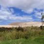 Nouvelle-Zélande - Dunes de Te Paki - Dunas de Te Paki