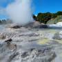 Nouvelle-Zélande - Wakarewarewa "living thermal village"