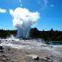 Nouvelle-Zélande - Wakarewarewa "living thermal village"