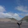 Indonésie - On ne vous le pr&eacute;sente plus, le Gunung Bromo!!