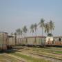 Cambodge - La gare ferroviere...desafectee ou presque !