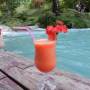 Vanuatu - Break d&eacute;tente in Melee
