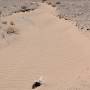 Iran - Riviere de sable.