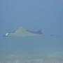 Indonésie - SaManta !!!!!!!!!!!!!!!!!!!!!!!!!!!!