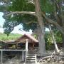 Saint-Vincent-et-les-Grenadines - Bequia - mango tree bar