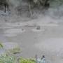 Nouvelle-Zélande - Wai-O-Tapu Park