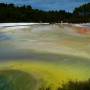 Nouvelle-Zélande - Wai-O-Tapu Park