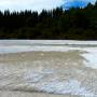 Nouvelle-Zélande - Wai-O-Tapu Park