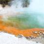 Nouvelle-Zélande - Wai-O-Tapu Park