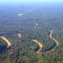 Guyana - La forêt amazonienne