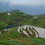Chine - Rice Terraces Ping