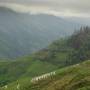 Chine - Rice Terraces Ping