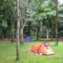 Argentine - Campement en bordure de la forêt tropical