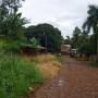 Argentine - Les rues de Puerto Iguazu, verdure et terre rouge