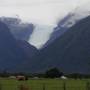 Nouvelle-Zélande - Vue du Glacier
