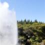 Nouvelle-Zélande - En eruption