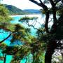 Nouvelle-Zélande - Abel Tasman National Park
