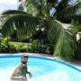 Polynésie française - Titi dans la piscine de son cousin, Davy