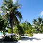 Polynésie française - Plage juste devant notre bungalow