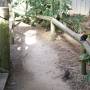 Australie - 