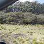 Australie - 