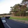 Australie - 