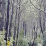 Australie - 