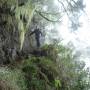 Île de la Réunion - 