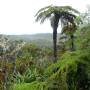 Île de la Réunion - 