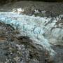 Nouvelle-Zélande - Half day walk Fox Glacier