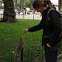 USA - Encore un cliche: tous ces ecureuils qui peuplent les parcs de NY en attendant que les gens les nourrissent