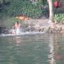 Inde - habitants au bord des backwaters