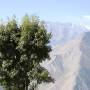 Langtang Trek