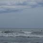 Argentine - Mar del Plata - Surfeurs 1