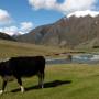 Nouvelle-Zélande - Queenstown