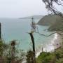 Espagne - Stewart Island