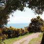 Royaume-Uni - 