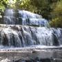 Nouvelle-Zélande - The Catlins