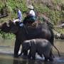 Thaïlande - Ballade à Elephants