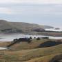 Nouvelle-Zélande - Otago Peninsula, Dunedin