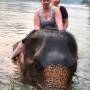 Thaïlande - Bain avec les éléphants