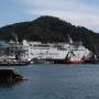 Nouvelle-Zélande - Ferry entre les 2 îles